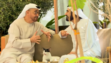 صورة قطة تتوسط محمد بن زايد ومحمد بن راشد وتثير التساؤلات.. فما قصتها