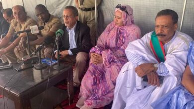 صورة وزير الزراعة يتفقد منشآت زراعية ومزارع وواحات في بنشاب