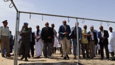 صورة نواكشوط: فتح مراكز لذبح الأضاحي بقدرة استيعاب ذبح بمعدل 350 شاة لكل 10دقائق.