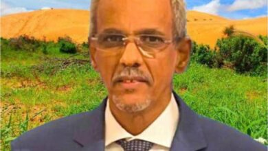 صورة تعيين شيخنا ولد النني سفيرا في باماكو