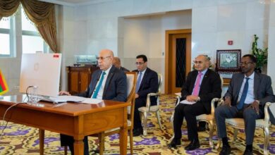 صورة رؤساء دول منظمة استثمار النهر السنغالي بشيدون بمبادرة رئيس الجمهورية ويجيزونها بالإجماع