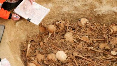 صورة بعد 150 عاما من التنقيب.. اكتشاف قرية من العصر الحجري بفرنسا