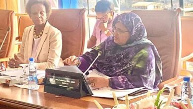صورة رئيسة جهة نواكشوط تترأس لجنة تحكيم دولية بالكاميرون
