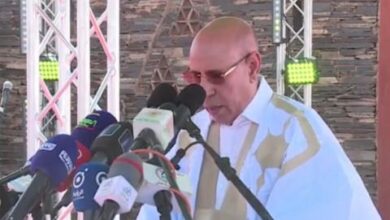 صورة رئيس الجمهورية يفتتح فعاليات مهرجان مدائن التراث بمدينة ولاته