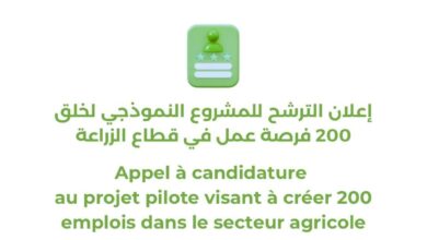 صورة وزارة تمكين الشباب والرياضة والخدمة المدنية تطلق استمارة التسجيل لخلق 200 فرصة عمل