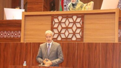 صورة ولد ابوه: تكاثر الشركات والمؤسسات العمومية سبب رئيسي في اختلالاتها
