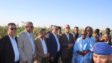 صورة وزير الزراعة يتفقد مزارع “كلت أوريويرة” وبرامج استصلاح زراعية في الحوض الشرقي