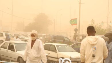 صورة الأرصاد الجوية تتوقع انخفاضا في درجات الحرارة وتأثير الأتربة على بعض المناطق