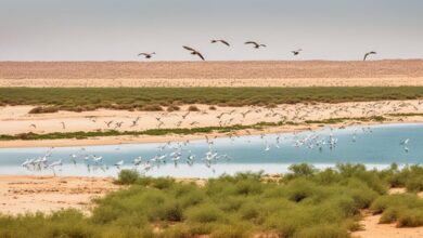صورة مـــوريتــانيا توقــع اتفــاقيــة لتمــويل مشروع حماية المناطق الرطبة بأكثر من مليــاري أوقيـة