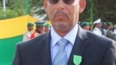 صورة *هل يخدم تحديد المأموريات الديمقراطية في موريتانيا؟* ابوبكر الصديق ولد المنان