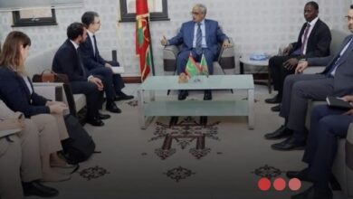 صورة وزير الشؤون الاقتصادية يبحث مع وفد من صندوق الودائع والقروض الإيطالي تعزيز التعاون التنموي
