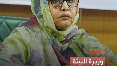 صورة وزيرة البيئة تتوجه إلى أوزبكستان للمشاركة في جمعية مرفق البيئة العالمي