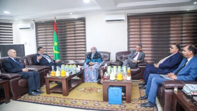 صورة رئيسة جهة نواكشوط تستقبل  سفير دولة فلسطين  المعتمد لدى موريتانيا