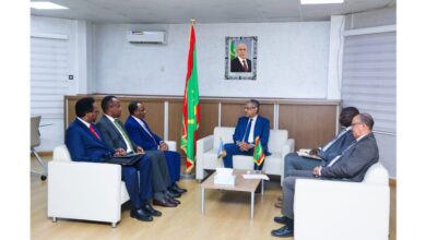 صورة وزير الطاقة  يبحث مع وزير الدولة الصومالي تعزيز التعاون في قطاع الطاقة