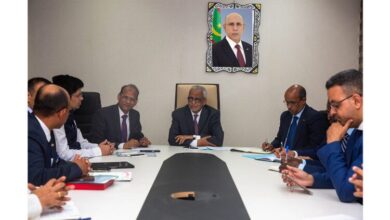 صورة ولد الشيخ سيديا يبحث مع سفير الهند آفاق توسيع التعاون الثنائي وتعزيز الشراكة