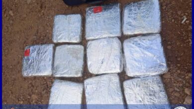 صورة توقيف حافلة وضبط 10 كيلوغرامات من القنب الهندي على محور سيليبابي–امبود
