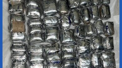 صورة الدرك الوطني يضبط 26 كلغ من راتنج القنب الهندي بحوزة أجنبيين عند مركز العبور بالكلم 55