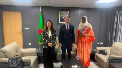 صورة وزير التكوين المهني يبحث مع مديرة المركز الإسلامي لتنمية التجارة تعزيز التعاون في مجالات التكوين والصناعة التقليدية