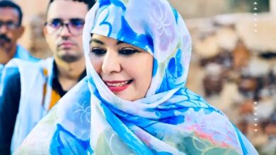 صورة المهندسة أم الخيري المصطفى اخليف تشكر سكان شنقيط وتثمن جهود إنجاح زيارة رئيس الجمهورية