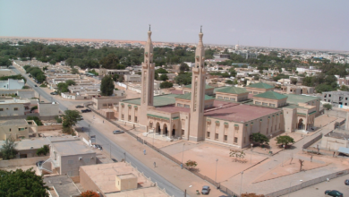 صورة وزارة الشؤون الإسلامية تدعو لتوحيد خطبة الجمعة حول دور التعليم في بناء الإنسان وإصلاح المجتمع