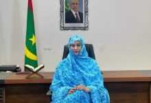 صورة الإعلامي والكاتب حبيب الله ولد أحمد يكتب عن الوزيرة الناها حمدي مكناس